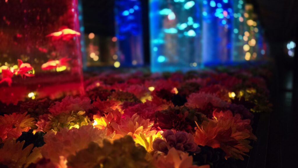 アートアクアリウム銀座 Flower Aquarium Gala 金魚の回廊