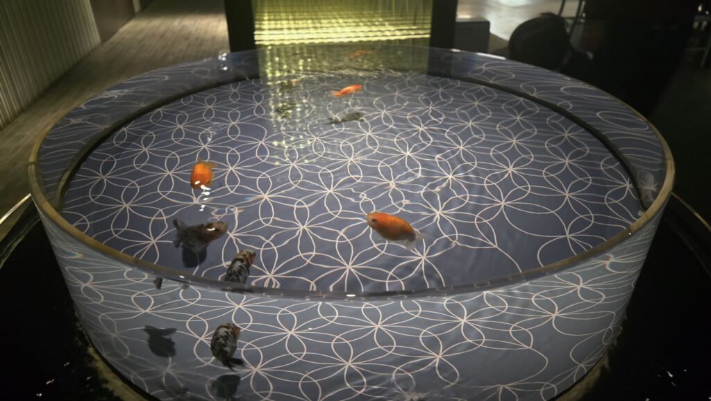 すみだ水族館 金魚 江戸リウム