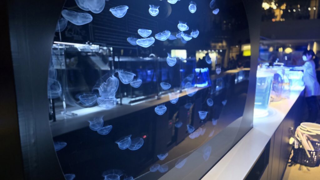 すみだ水族館 クラゲ クラゲラボ