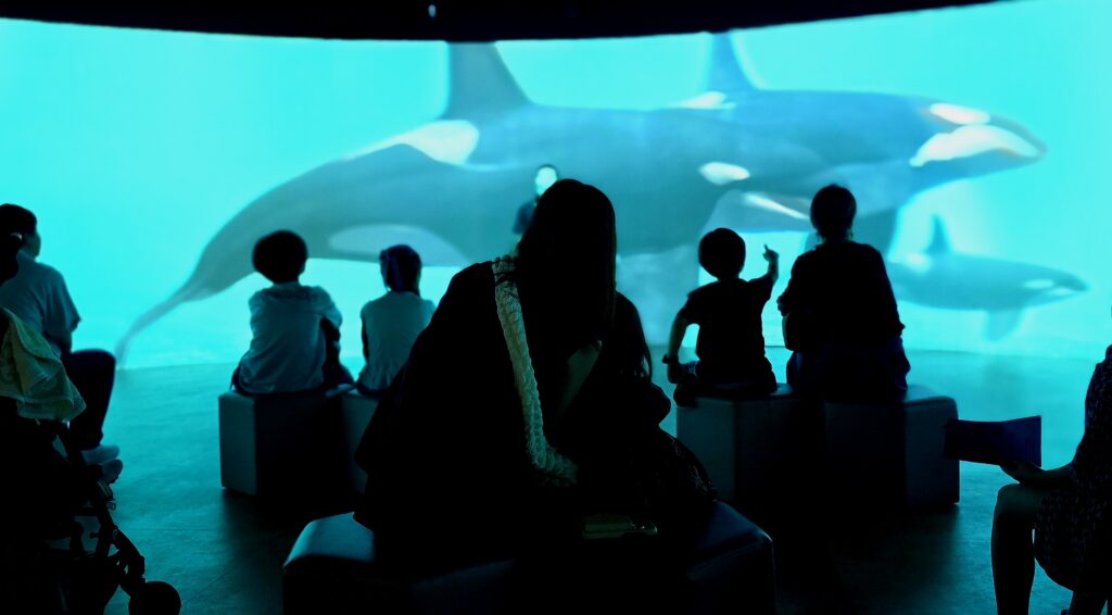川崎水族館 カワスイ パノラマスクリーン