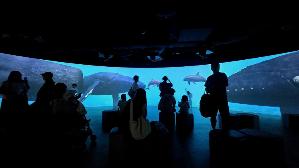川崎水族館 カワスイ パノラマスクリーン クジラ集合