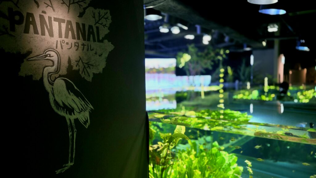 川崎水族館 カワスイ パンタナルエリア 入り口