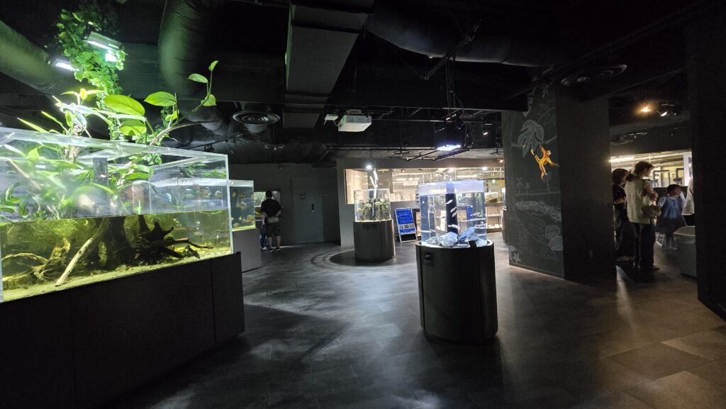 川崎水族館 カワスイ アグア・ラボ 全体