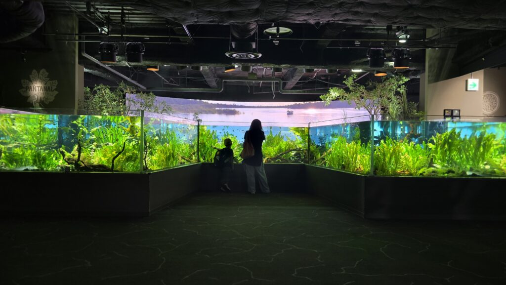 川崎水族館 カワスイ パンタナル大水槽