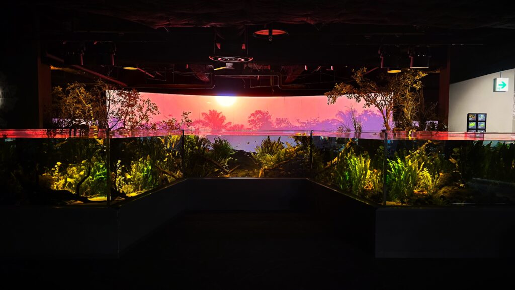 川崎水族館 カワスイ パンタナル大水槽 夕暮れ