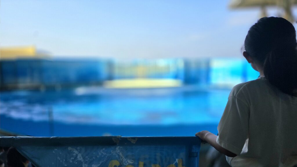 新江ノ島水族館 イルカショー フォトスポット