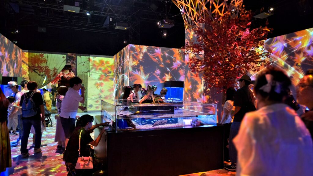 マクセルアクアパーク品川 NAKED MOMIJI AQUARIUM 錦秋の海中庭園