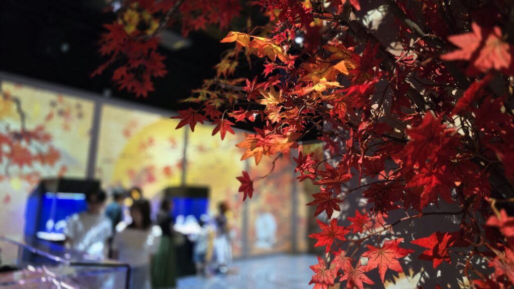 マクセルアクアパーク品川 NAKED MOMIJI AQUARIUM 錦秋の海中庭園　フォトスポット