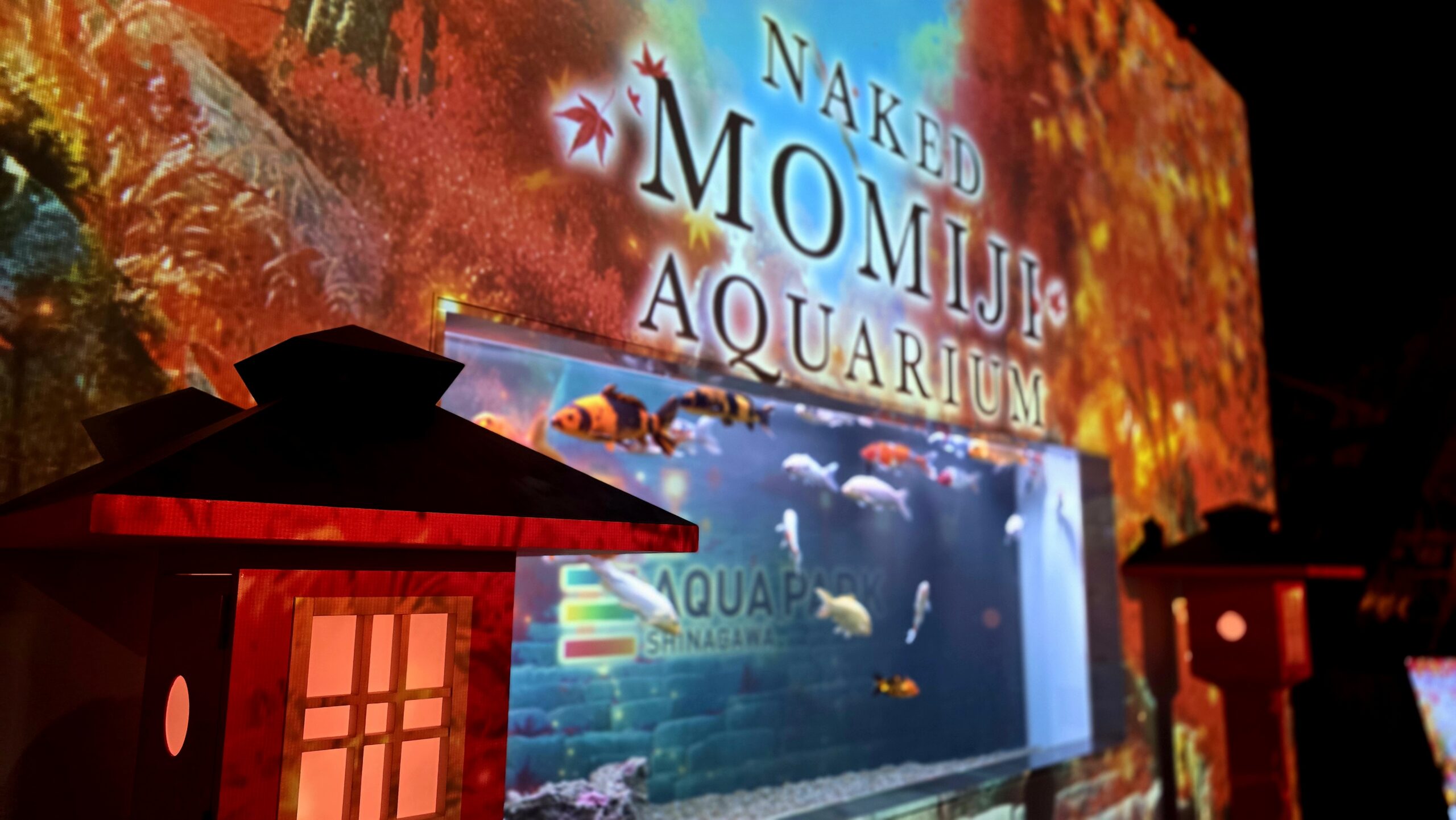 マクセルアクアパーク品川 NAKED MOMIJI AQUARIUM エントランス