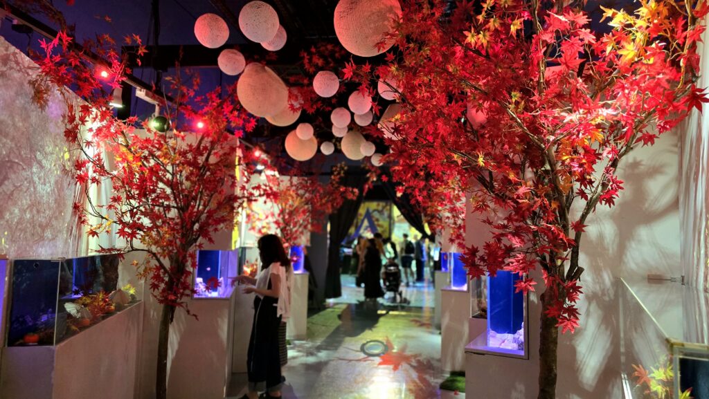 マクセルアクアパーク品川 NAKED MOMIJI AQUARIUM 紅葉回廊