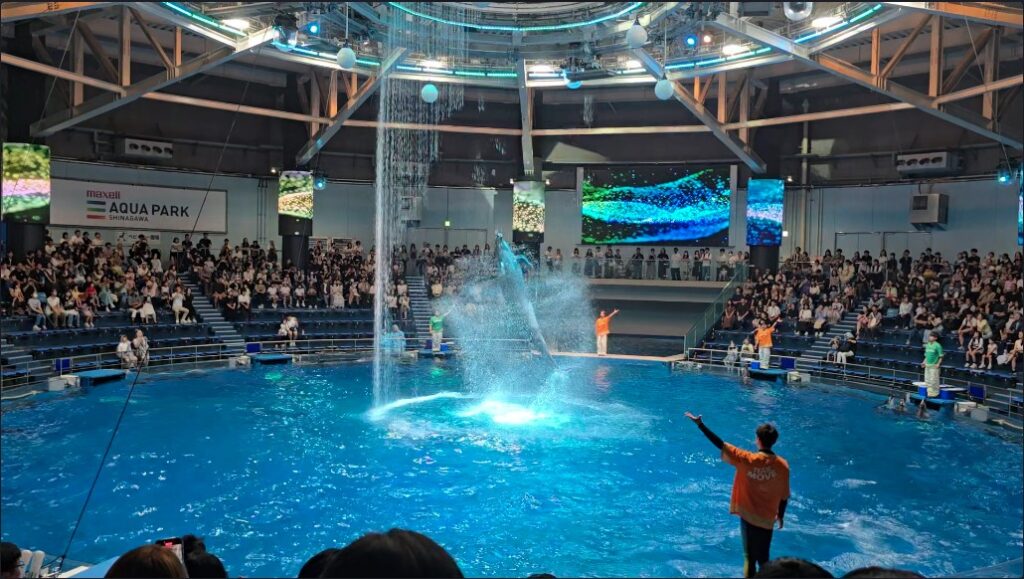 マクセルアクアパーク品川 NAKED MOMIJI AQUARIUM ドルフィンパフォーマンス
