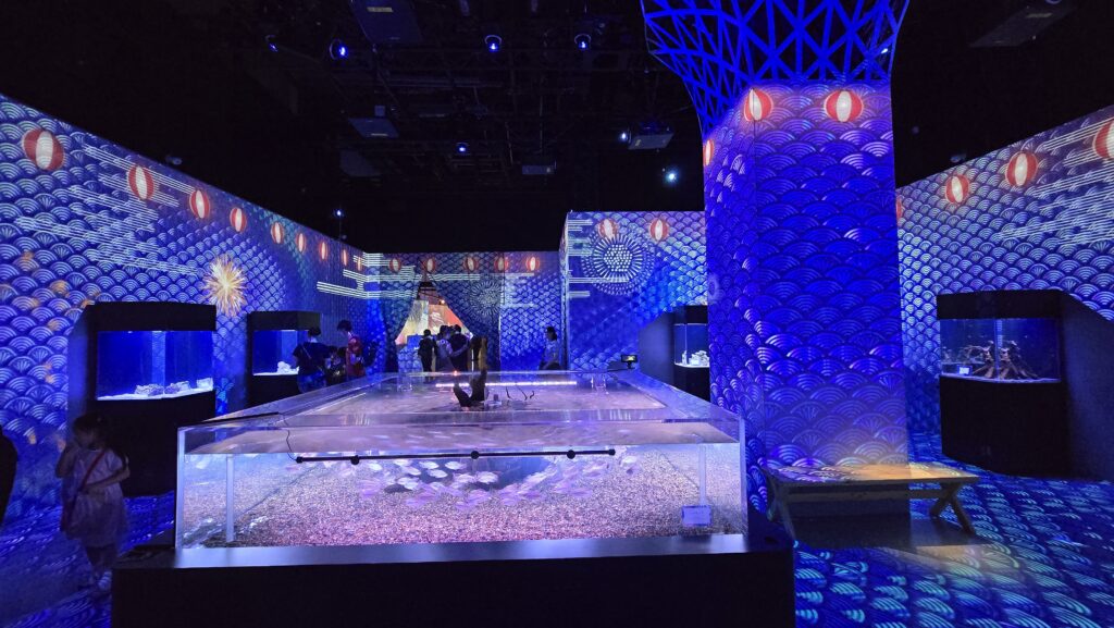 マクセルアクアパーク品川 NAKED HANABI