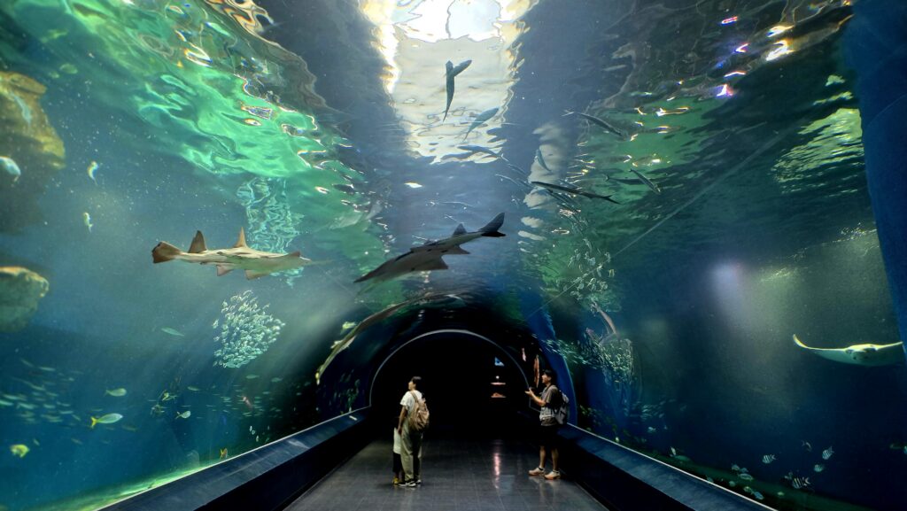 マクセルアクアパーク品川 ワンダーチューブ