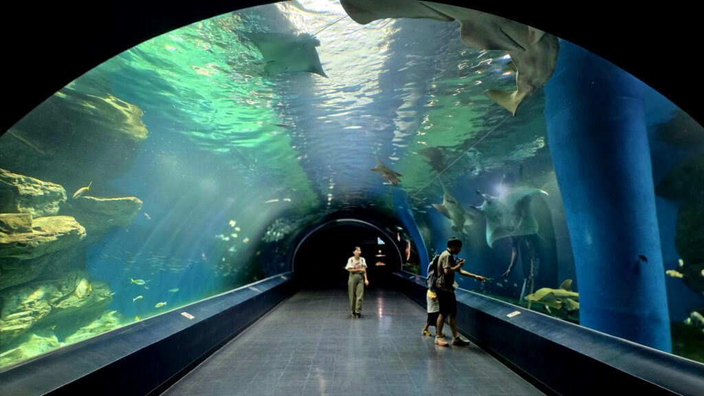 マクセルアクアパーク品川　ワンダーチューブ