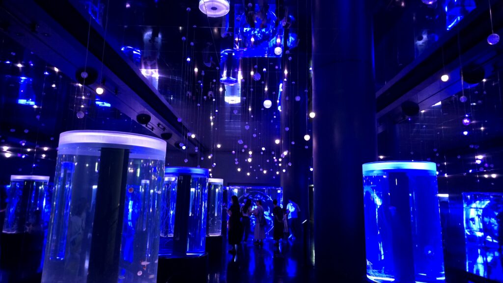マクセルアクアパーク品川　Jellyfish Ramble クラゲ