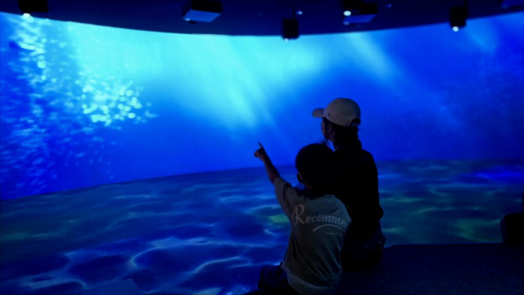 AOAO Sapporo 水族館 札幌 BLUE ROOM デジタルアート