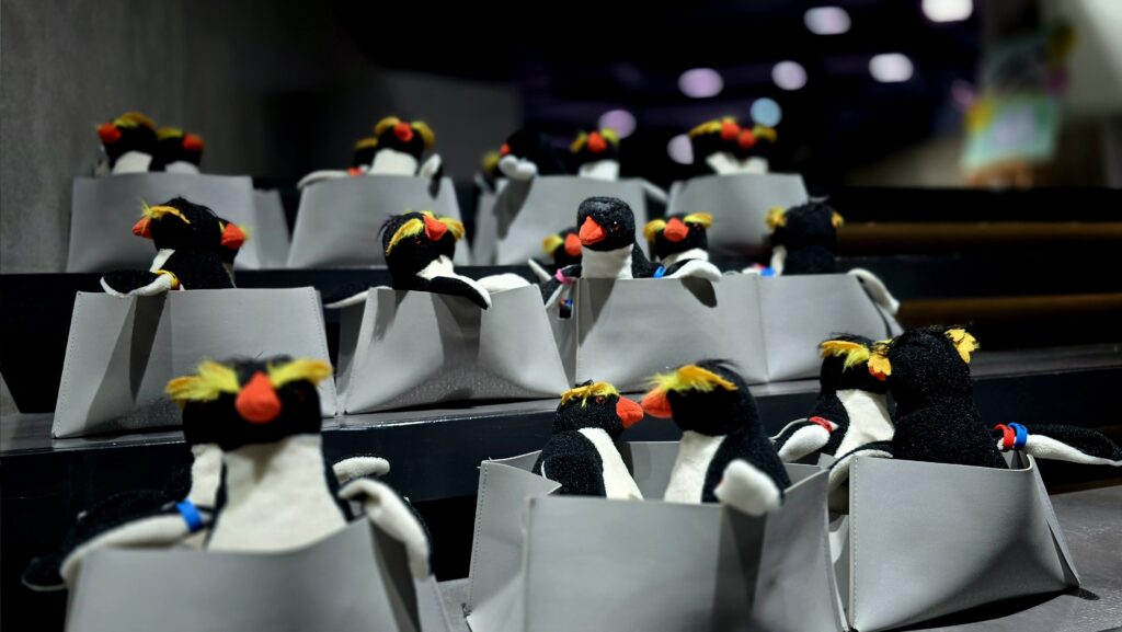 AOAO Sapporo 水族館 札幌 イワトビペンギン ぬいぐるみ