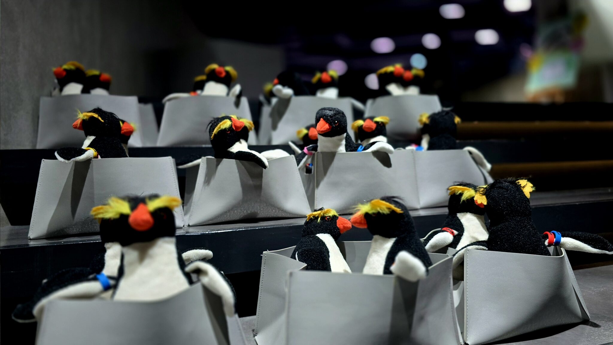 AOAO SAPPORO webチケット購入リンク画像