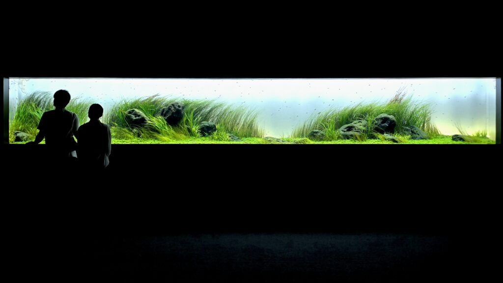 AOAO Sapporo 水族館 札幌 ネイチャーアクアリウム