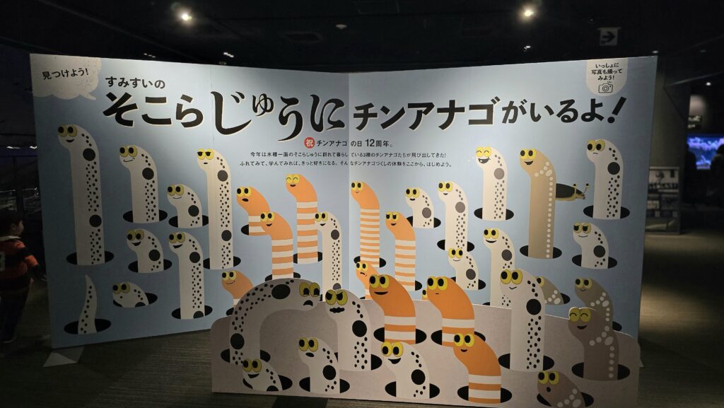 チンアナゴ フォトパネル 写真