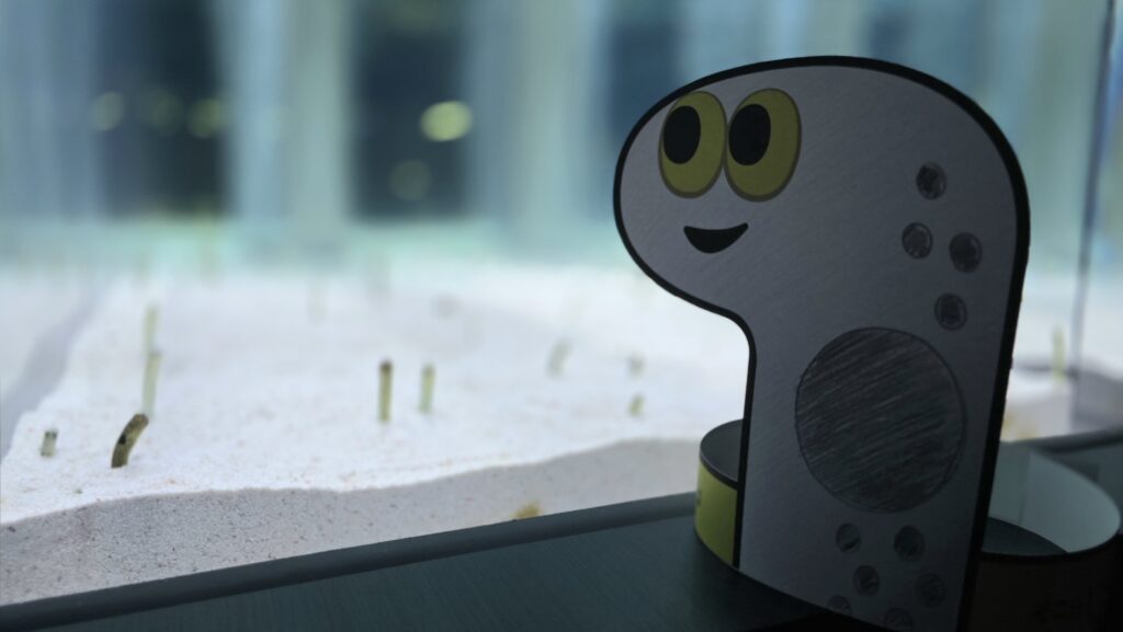 チンアナゴ フォトスポット 写真