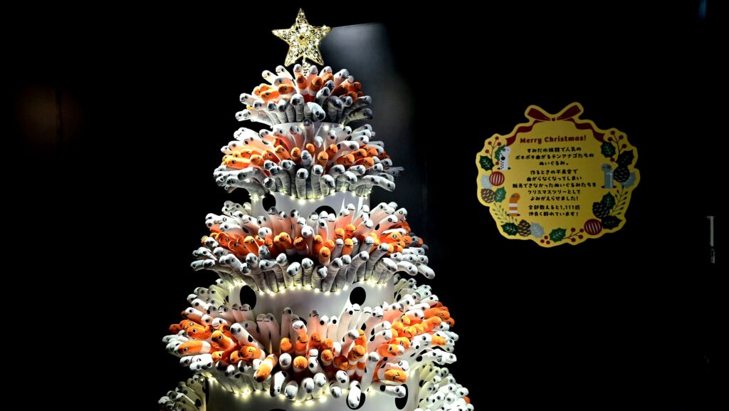 チンアナゴツリー 写真