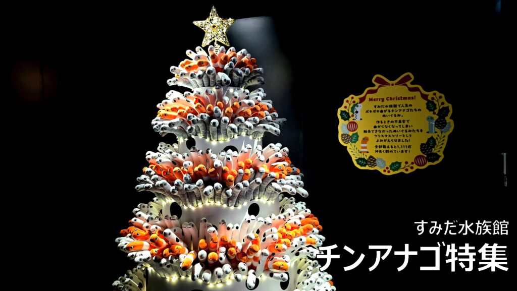 すみだ水族館の見どころ チンアナゴ チンアナゴツリー