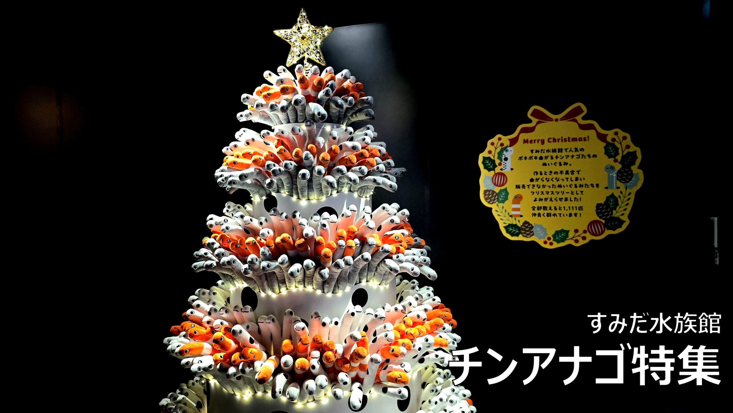 すみだ水族館の見どころ チンアナゴ チンアナゴツリー