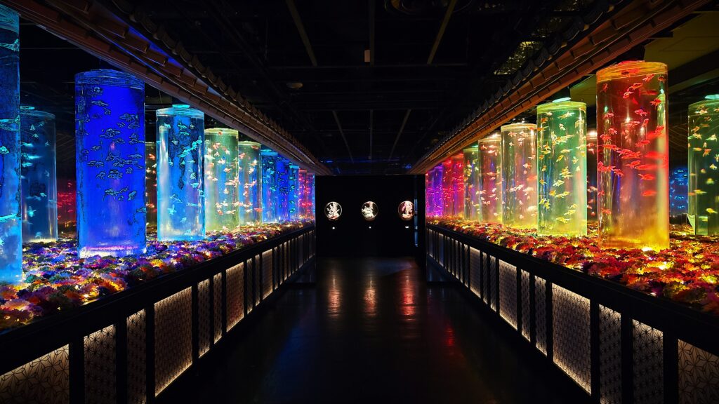 アートアクアリウム銀座 Flower Aquarium Gala 金魚の回廊 移ろいの華 ephemeral bloom フォトスポット