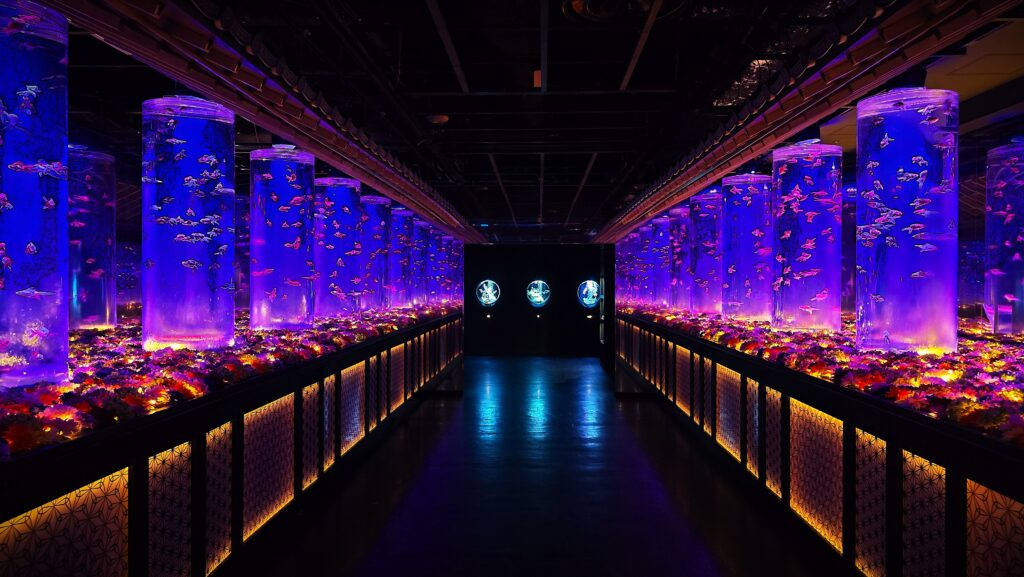 アートアクアリウム銀座 Flower Aquarium Gala 全体イメージ