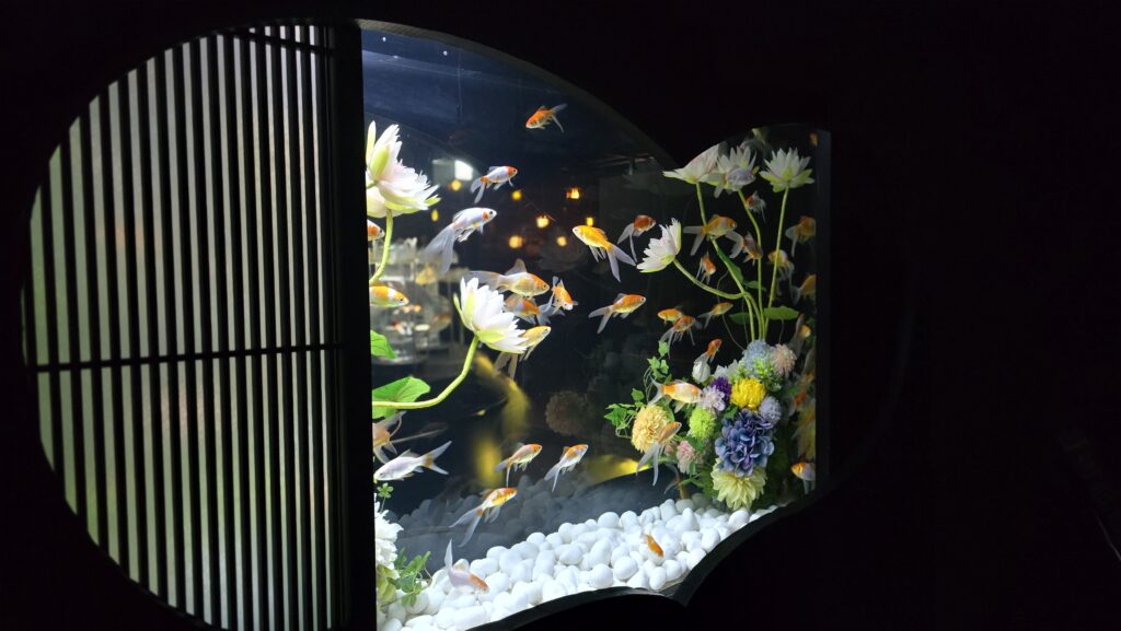 アートアクアリウム銀座 Flower Aquarium Gala 猪目リウム 五彩金魚 フォトスポット