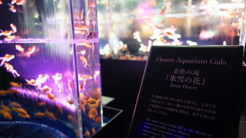 アートアクアリウム銀座 Flower Aquarium Gala 金魚の滝 氷雪の花
