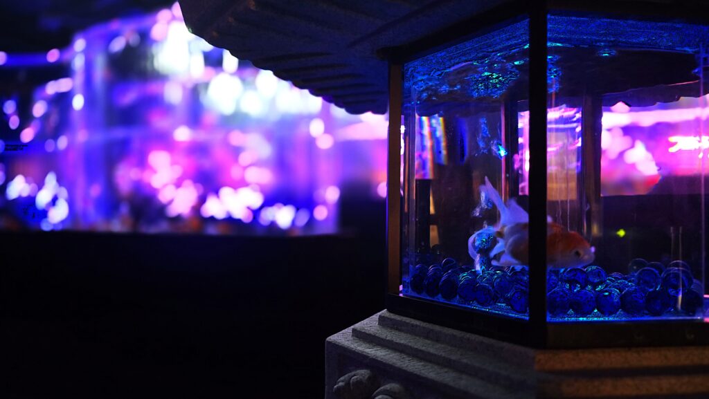 アートアクアリウム銀座 Flower Aquarium Gala 金魚の滝 氷雪の花 フォトスポット