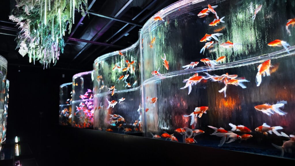 アートアクアリウム銀座 Flower Aquarium Gala 金魚の滝 氷雪の花