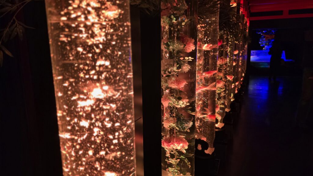 アートアクアリウム銀座 Flower Aquarium Gala 金魚の参道