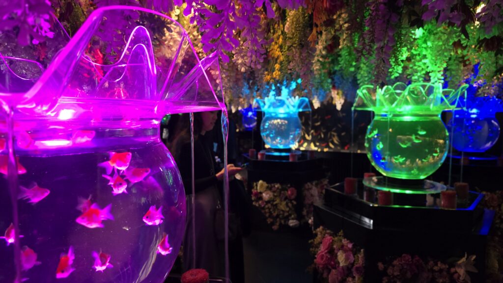 アートアクアリウム銀座 Flower Aquarium Gala 花魁花舞『花の箱庭』