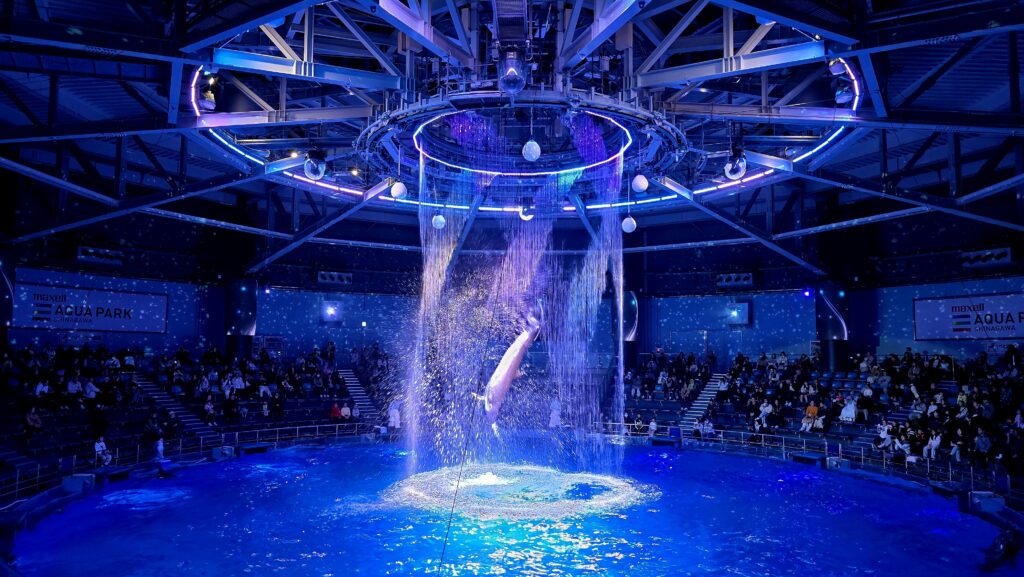 アクアパーク品川 SNOW AQUARIUM by NAKED ドルフィンショー ナイトバージョン BRIGHT CRYSTAL