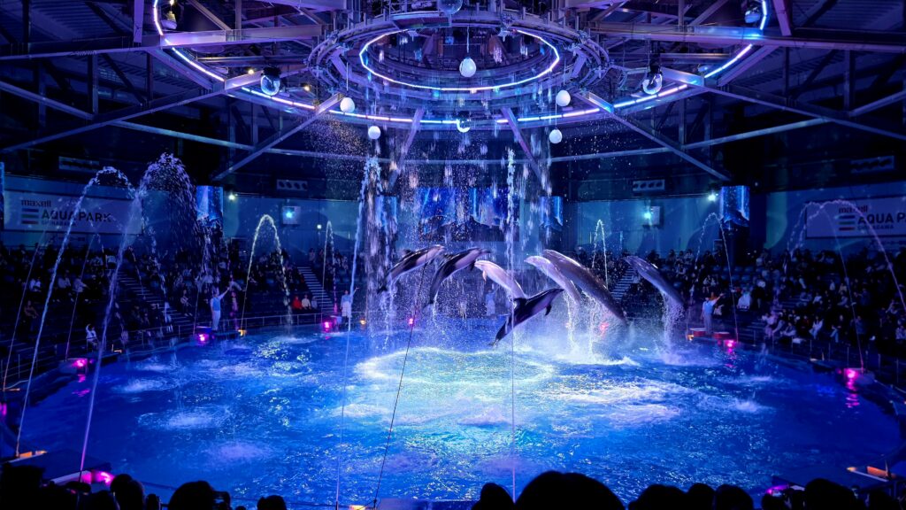 アクアパーク品川 SNOW AQUARIUM by NAKED ドルフィンショー ナイトバージョン BRIGHT CRYSTAL