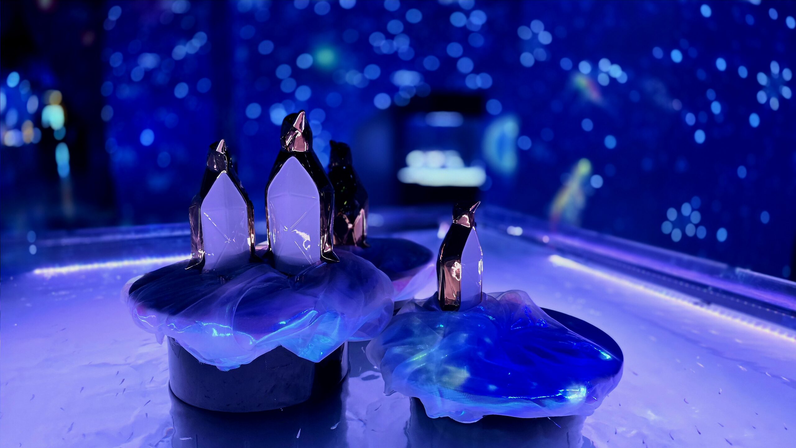 マクセルアクアパーク品川　SNOW AQUARIUM by NAKED 紹介 体験