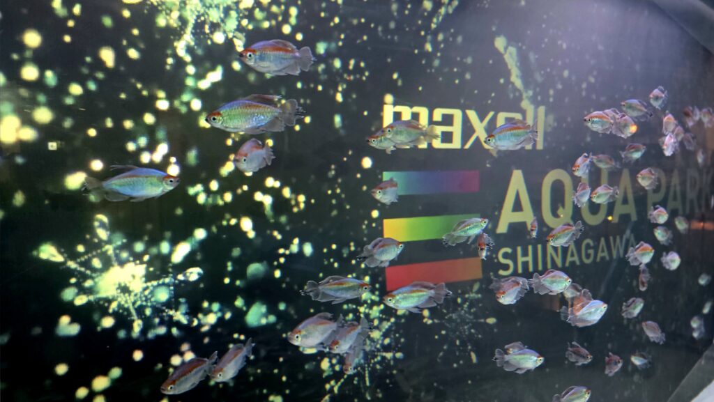 アクアパーク品川 SNOW AQUARIUM by NAKED エントランス BRIGHT SNOW