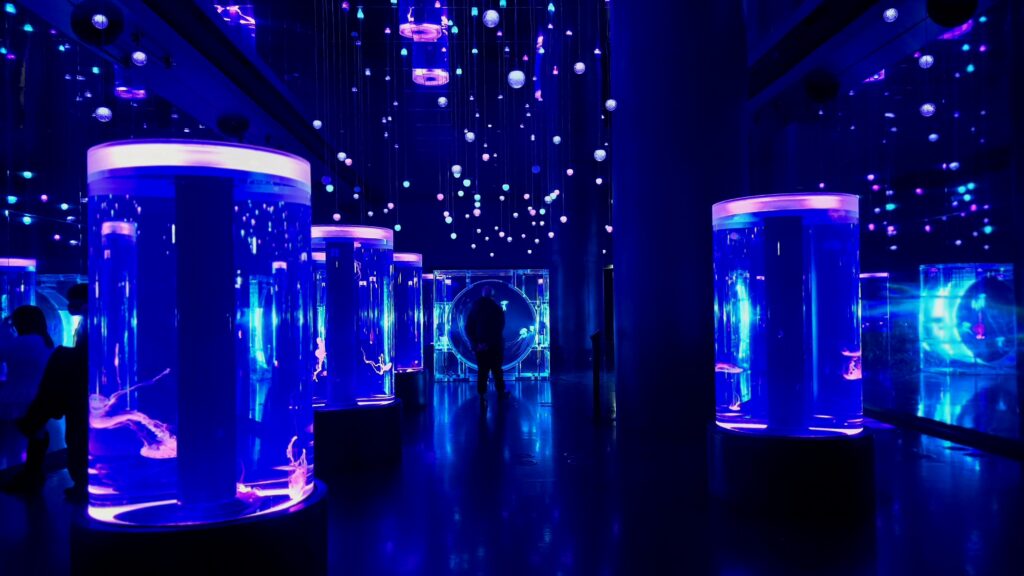 アクアパーク品川 SNOW AQUARIUM by NAKED Jellyfish Ramble クラゲ