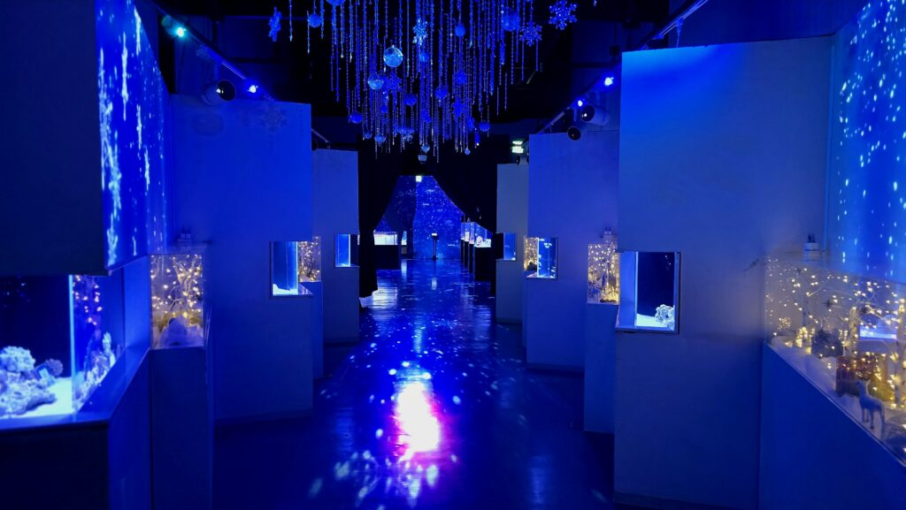 アクアパーク品川 SNOW AQUARIUM by NAKED Winter Color Street