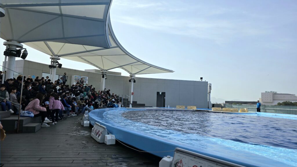四国水族館 イルカサンセットプール