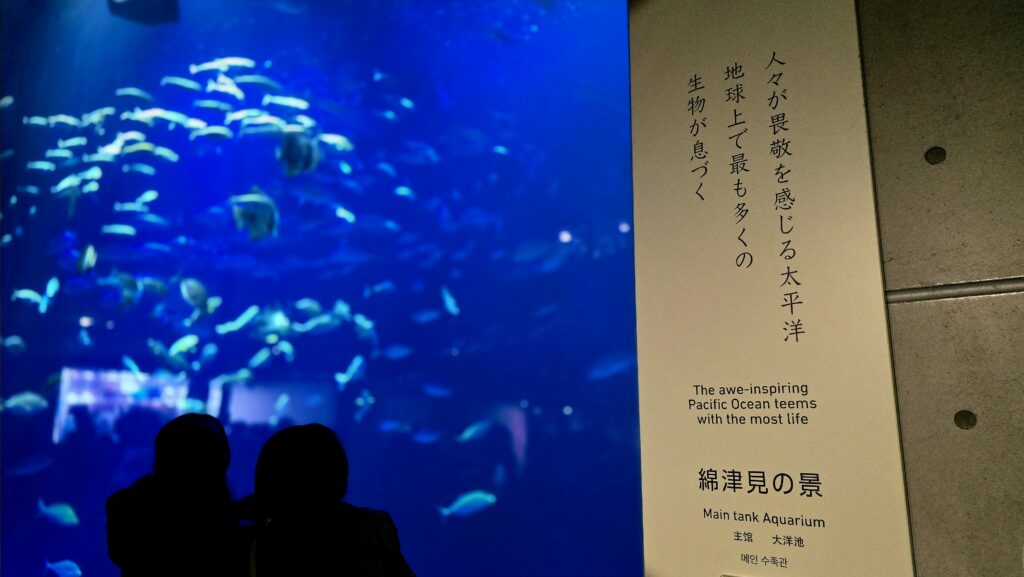 四国水族館 綿津見の景 大水槽
