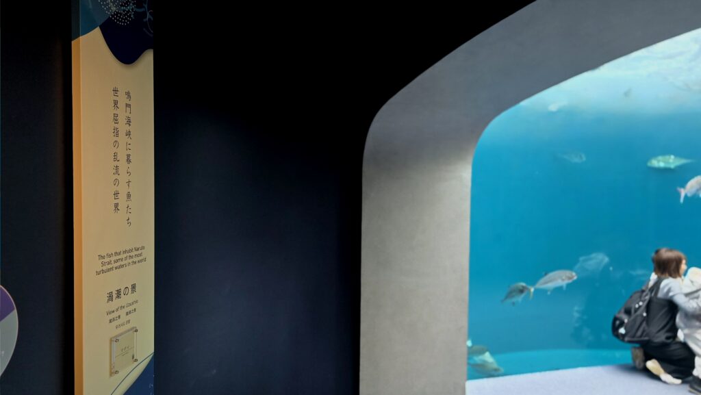 四国水族館 渦潮の景