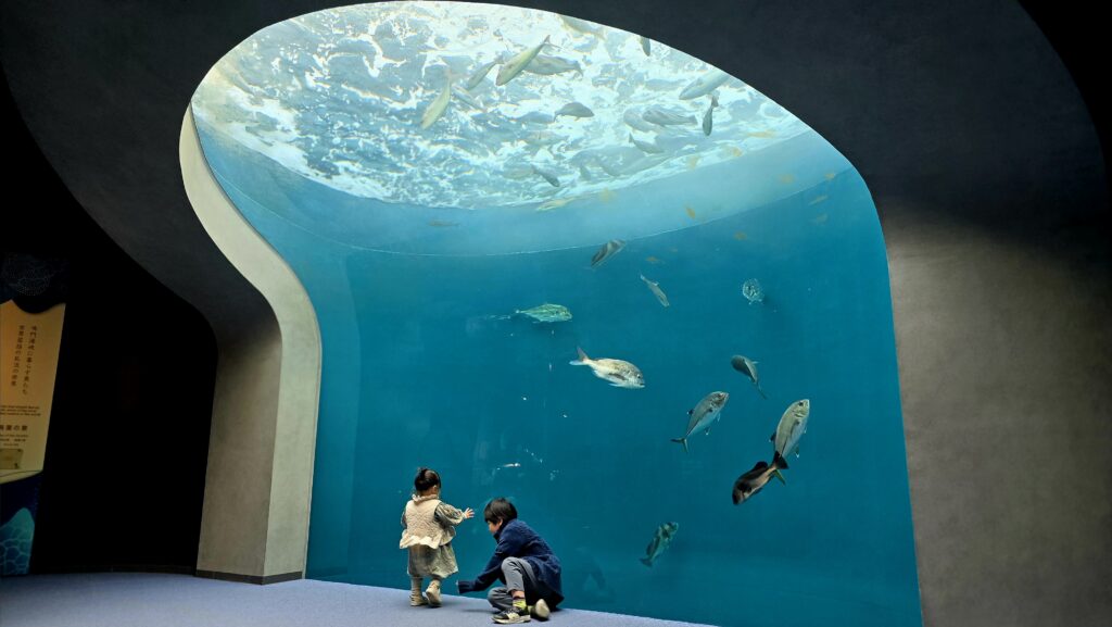 四国水族館 渦潮の景