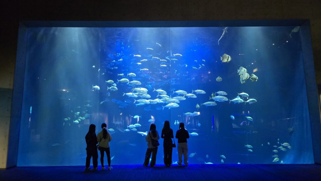 四国水族館 綿津見の景 大水槽