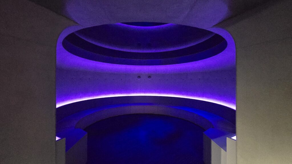 四国水族館 神無月の景 シュモクザメ