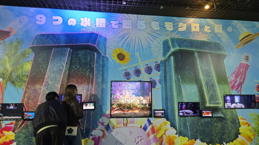 アクアパーク品川　ももクロ　水槽