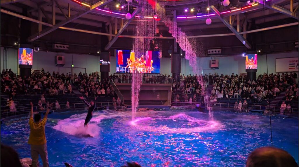 アクアパーク品川　ももクロ　ドルフィンパフォーマンス